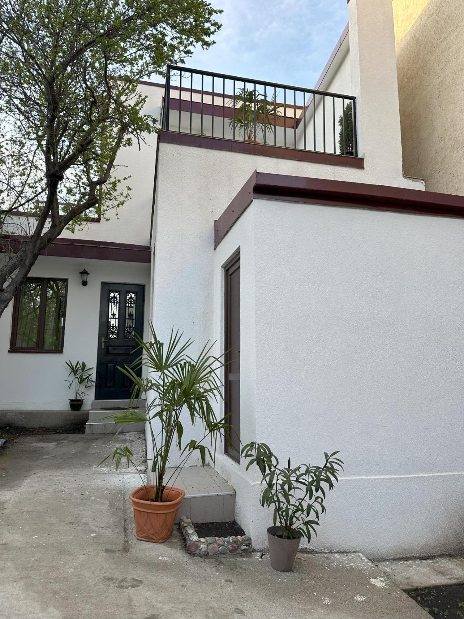Three Palms Guest House تبليسي المظهر الخارجي الصورة